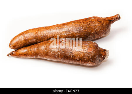 Cassava or Manioc roots (Manihot esculenta) isolated on a white studio background. Stock Photo