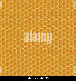Realistic Seamless Texture of Honeycomb Stock Photo