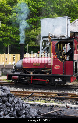 Llanberis Lake Railway, Llanberis, Gwynedd Stock Photo