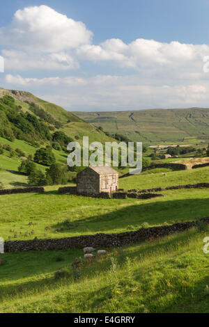 Evening light over upper Swaledale, Yorkshire Dales National Park, England, UK Stock Photo
