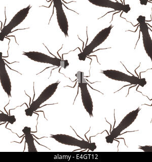 Scary and afraid phobia of insects pattern made by dragonfly larvae outline silhouette of mature nymph Stock Photo