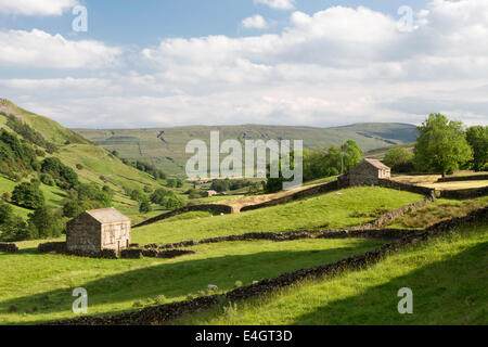 Evening light over upper Swaledale, Yorkshire Dales National Park, England, UK Stock Photo
