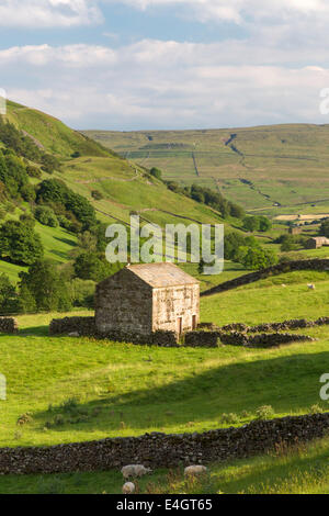 Evening light over upper Swaledale, Yorkshire Dales National Park, England, UK Stock Photo