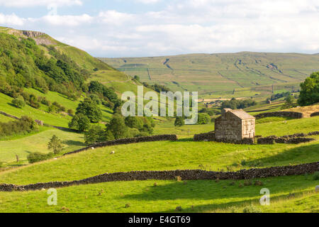 Evening light over upper Swaledale, Yorkshire Dales National Park, England, UK Stock Photo