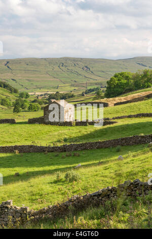 Evening light over upper Swaledale, Yorkshire Dales National Park, England, UK Stock Photo