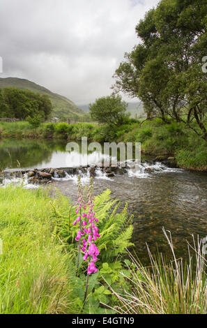 Cwm Pennant valley and the Afon Dwyfor river, Snowdonia National Park, North Wales, UK Stock Photo