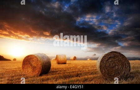 Lovely sunset golden hour landscape of hay bales in field in English countryside Stock Photo