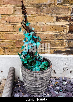 Turquoise green artificial ivy plant in a pot outside a suburban ccottage Stock Photo