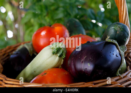 Athens, Greece. 11th July, 2014. Fresh vegetables in the basket. Tomatoes, aubergines, cucumbers, and squash. © Aristidis Vafeiadakis/ZUMA Wire/Alamy Live News Stock Photo
