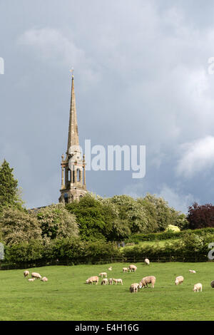 Sheep grazing below St Bartholomew's church, Tardebigge, Worcestershire, England, UK Stock Photo