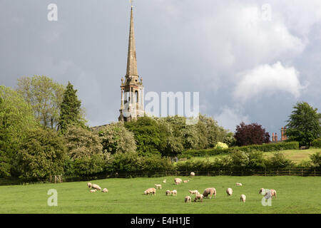 Sheep grazing below St Bartholomew's church, Tardebigge, Worcestershire, England, UK Stock Photo