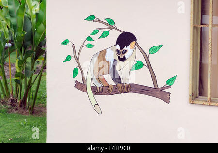 Painting of a Red-backed Squirrel Monkey (Saimiri oerstedii oerstedii) on a house wall.  Sierpe, Costa Rica Stock Photo