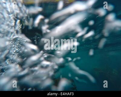 Underwater view of the strong surge in South Georgia. Stock Photo