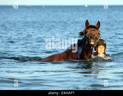 Horse and rider swim in the sea Stock Photo - Alamy