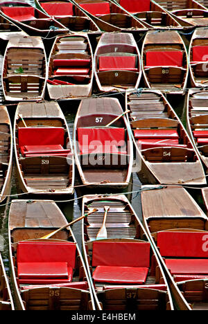 Unused punts on the River Cherwell in the heart of Oxford.