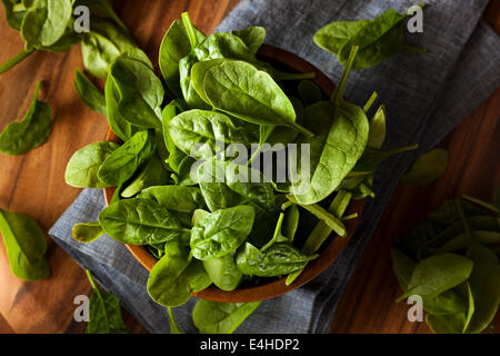 Raw Green Organic Baby Spinach in a Bowl Stock Photo