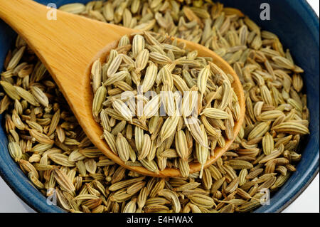 Fennel seeds in wooden spoon Stock Photo