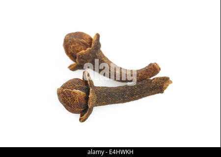 spice cloves isolated on white background Stock Photo