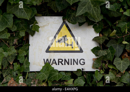 A warning sign indicating that CCTV is in operation in partially hidden behind some leaves in Manchester, UK. Stock Photo