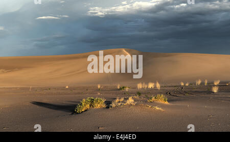 Sand Dunes along the Amargosa Desert at sunset. Located in Nye County in western Nevada, United States. Stock Photo