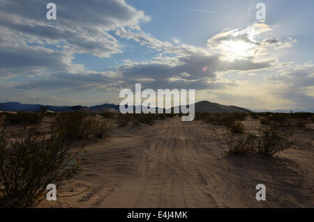 Sand Dunes along the Amargosa Desert at sunset. Located in Nye County in western Nevada, United States, along the CA-NV border. Stock Photo