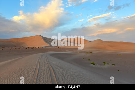 Sand Dunes along the Amargosa Desert at sunset. Located in Nye County in western Nevada, United States. Stock Photo