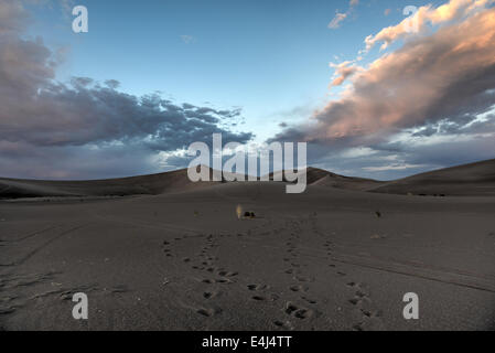 Sand Dunes along the Amargosa Desert at sunset. Located in Nye County in western Nevada, United States. Stock Photo