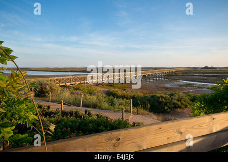 Bridge in Quinta do Lago, that leads to the beach and goes across Ria Formosa, in Algarve, Portugal Stock Photo