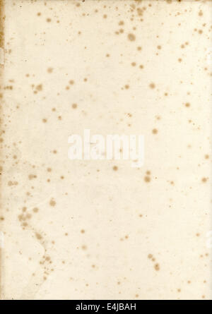 Old vintage early19th century textured paper with mildew foxing background Stock Photo