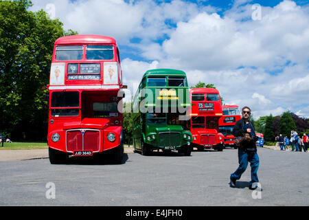 London, UK. 13th July 2014. Finsbury Park, North London plays host to the Routemaster Bus Festival, commemorating the 60th anniversary of the unveiling of the first Routemaster. The event is run by the Routemaster Association, with over 100 vehicles on display Credit:  Paul Swinney/Alamy Live News Stock Photo