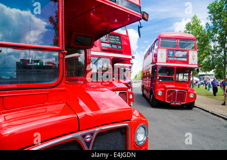 London, UK. 13th July 2014. Finsbury Park, North London plays host to the Routemaster Bus Festival, commemorating the 60th anniversary of the unveiling of the first Routemaster. The event is run by the Routemaster Association, with over 100 vehicles on display Credit:  Paul Swinney/Alamy Live News Stock Photo