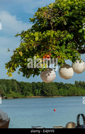 Three paper lanterns hanging form a lush green leafy tree overlooking a river in Bali Stock Photo