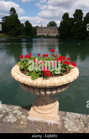 Red geraniums growing in Urn container pot with view towards Museum No 1 over Palm House Pond. Kew Gardens. Kew, West London UK. Stock Photo