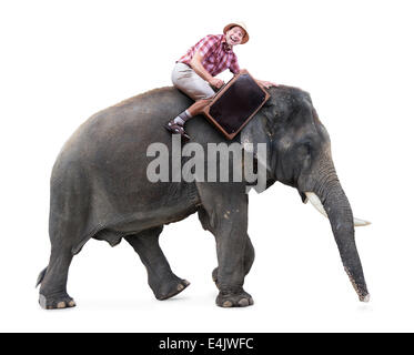 cheerful tourist rides on an elephant carrying a suitcase Stock Photo