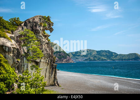 Lion rock (Shishi-iwa) in Kumano, Japan. Stock Photo