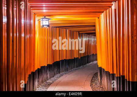 Fushimi Inari Taisha Shrine torii gates in Kyoto, Japan at night. Stock Photo