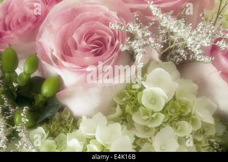 Dreamy wedding roses bouquet, Marin County, California, USA Stock Photo