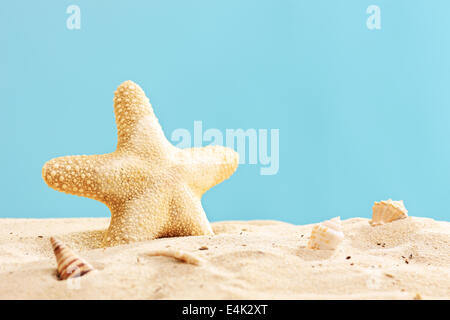 Studio shot of a starfish in sand on blue background Stock Photo