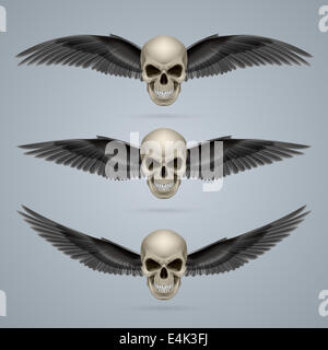 Three evil looking ivory coloured two-winged skulls. Stock Photo