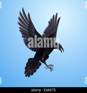 Aggressive black raven. Illustration on blue sky background Stock Photo ...