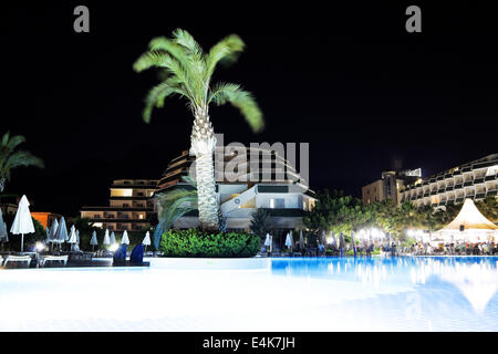 palm near pool at summer night Stock Photo