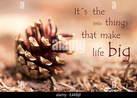 Fir Cone with the Saying Its the Little Things That Make Life Big as Autumn Background Stock Photo