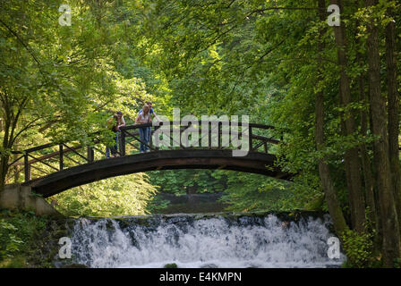 wooden bring over small waterfall Stock Photo