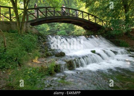 wooden bring over small waterfall Stock Photo