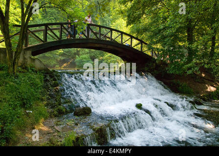 wooden bring over small waterfall Stock Photo