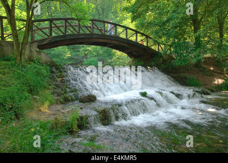 wooden bring over small waterfall Stock Photo