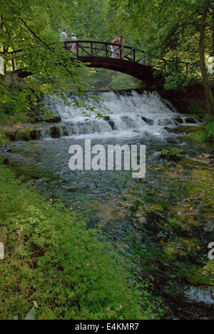 wooden bring over small waterfall Stock Photo