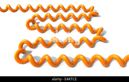 A vintage laid out orange coiled telephone cord on an isolated white background Stock Photo