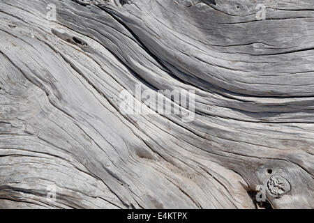 Grunge texture Stock Photo