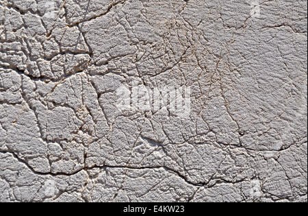 Grunge texture Stock Photo